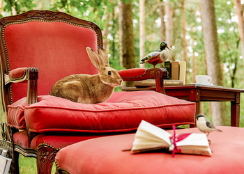 Photo by Eugene Buzuk