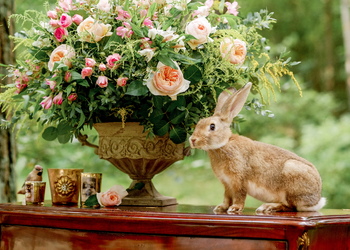 Photo by @eugenebuzuk