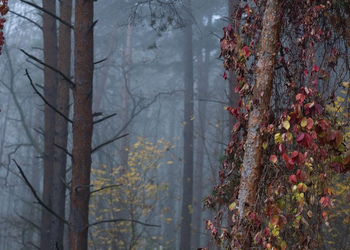 Photo by @jkamenko_ph