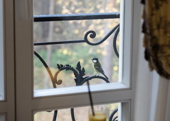 Photo by @jkamenko_ph